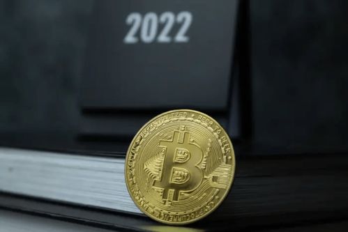 2022年比特币价格波动解析：从巅峰到低谷的惊心动魄之旅