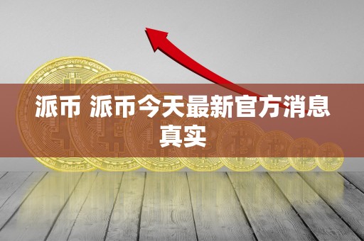 派币（PaiCoin）今天最新官方消息：推进项目开发及关键信息全知道